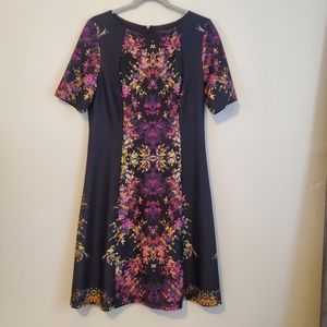 Tahari Dress by Arthur S. Levine Size 10